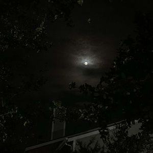 Meet your Posher, Corey